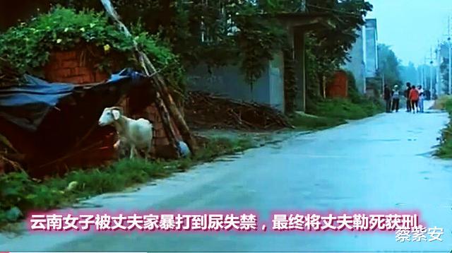 云南女子遭家暴打到尿失禁,勒丈夫脖颈50分钟致其死亡,法院判了