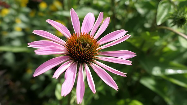 张哲瀚|下一周，红鸾悸动，旧爱重归，思念难挡，红娘搭线，再度牵手