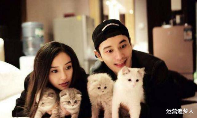 Angelababy|黄晓明和杨颖复婚了？这些举动泄露真相，网友：明星婚姻扑朔迷离