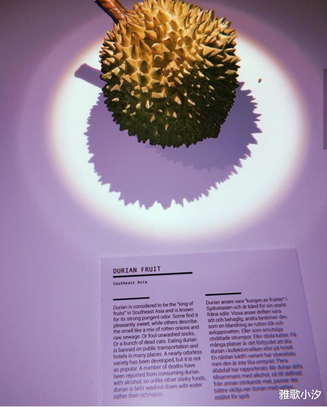 瑞典的“惡心食物博物館”展品有80種，中國的好幾款食物也被展出-圖7