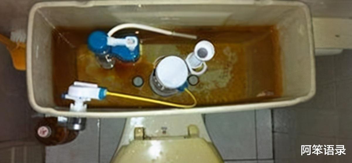 洁厕灵|马桶水箱内放块洁厕灵，有人说会致癌！这种说法是真的吗？