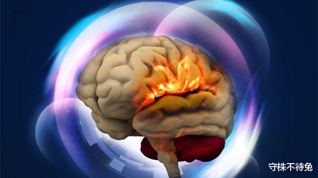  可用之处不多，但却使人渊博的23个有趣冷知识