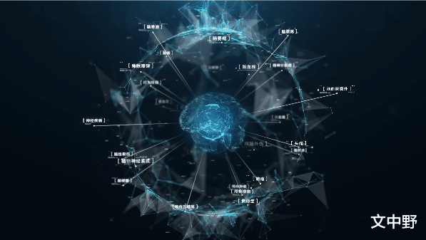 基因工程 探寻神秘的人类基因工程
