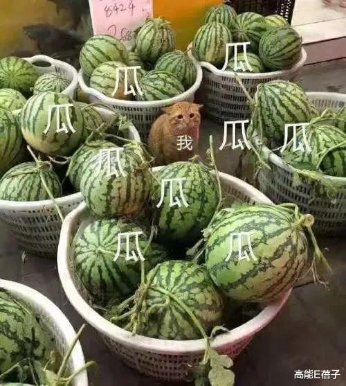 金裕贞|跨国联动，一起送走渣男