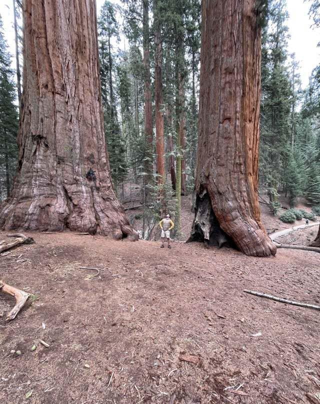  15个尺寸巨大的真实事物，最后那把小提琴能演奏吗？