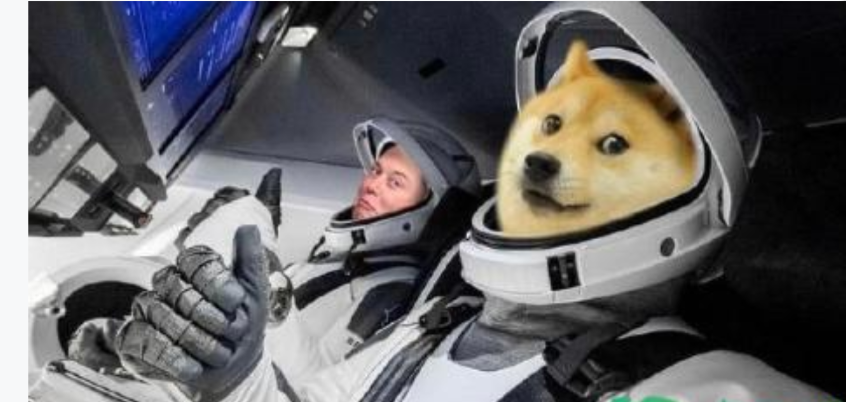任何国产元宇宙都是假元宇宙