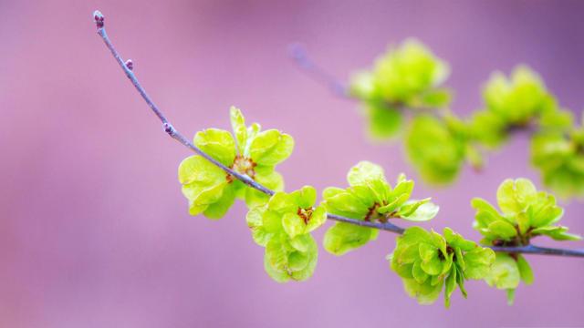 魔姐星座|特别难追的三大星座，性格高冷，不解风情，从不主动追求别人