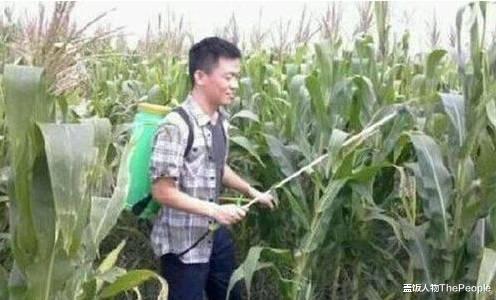 玉米|明星回村“土味现形记”：舞台上有多光鲜亮丽，回家就有多接地气