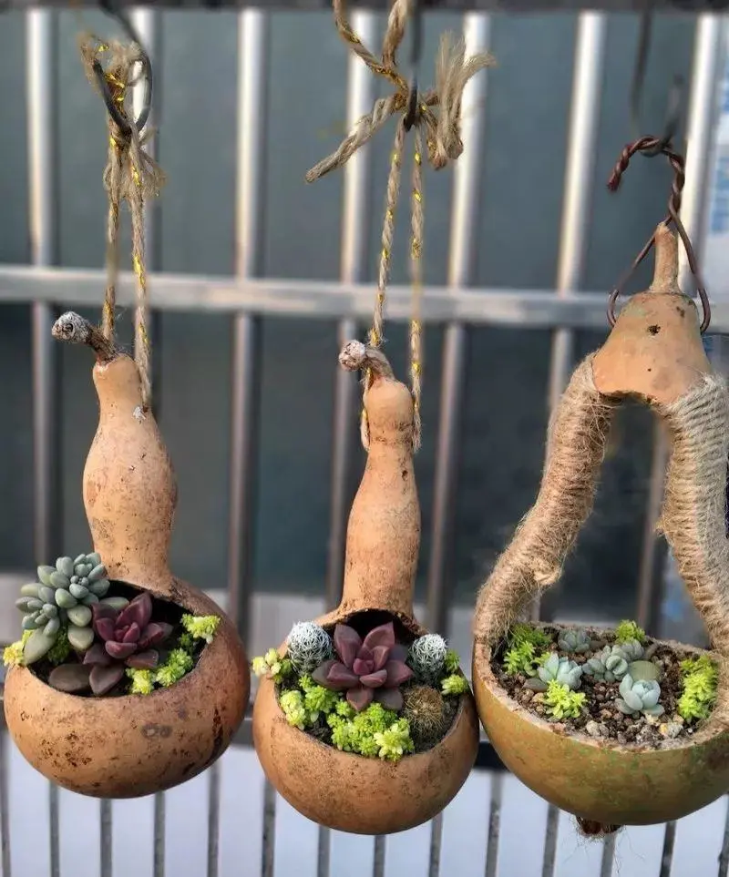 葫芦|又一个不要钱的文玩,玩出来给钱都不卖