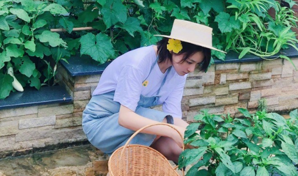 卓越|原来江苏隐藏着这么多美女！这10位女星个个貌美如花，气质卓越