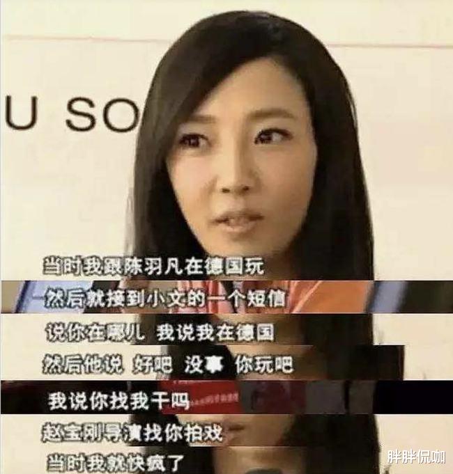 白百何|最有望成“百亿票房”女主的白百何，力挺文章，被卓伟顶锅，冤吗