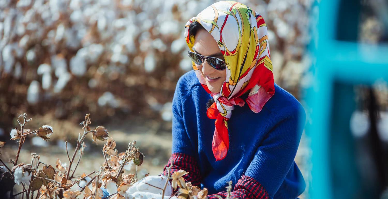 哥哥|《哥哥》后芒果又出爆款，5位常驻笑点密集，新疆棉内容展现格局