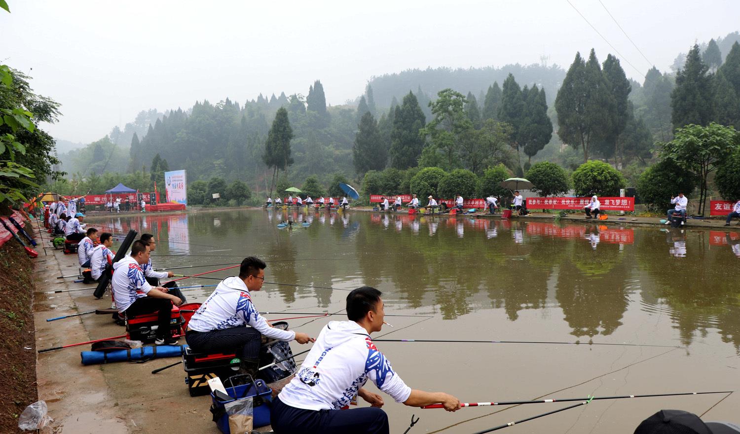 |如何才能找到好用的鱼饵和小药？挑选优质鱼饵和小药的技巧
