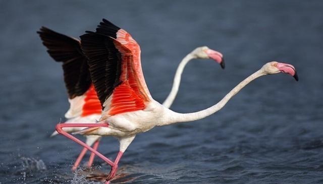 铁牛 9个奇妙的冷知识，教科书不一定能学到，或能让你脑洞大开