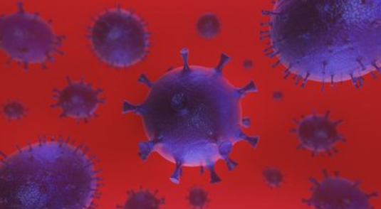 环球视野秘闻|如果将地球细菌微生物送上火星，能为火星带来生机？答案出人意料