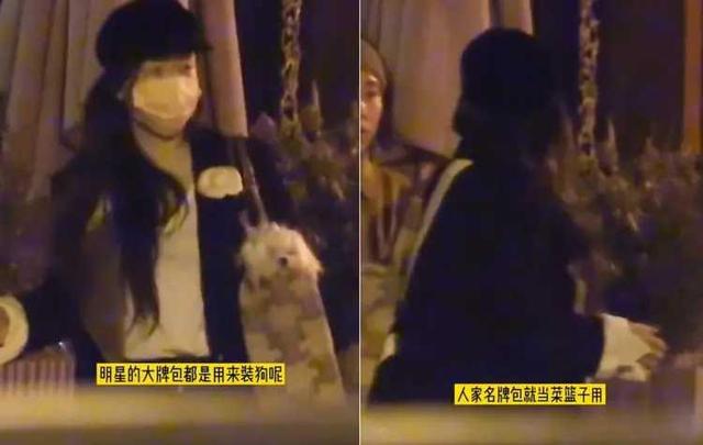 霍思燕|有钱就是豪横！霍思燕被拍用名牌包装爱犬，包包保守估计价值几万