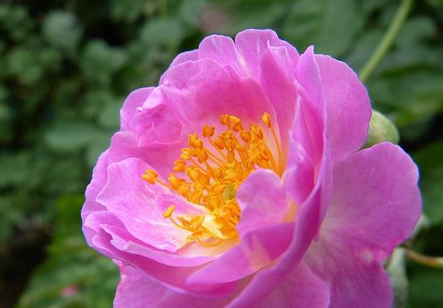 穿衣搭配|这四大属相的人,10月赢得胜利,年底更有福禄上门