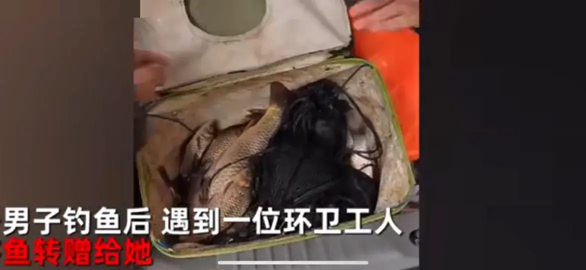 环卫工|男子见环卫工大姐辛苦免费赠送其自己钓的鱼走红网络