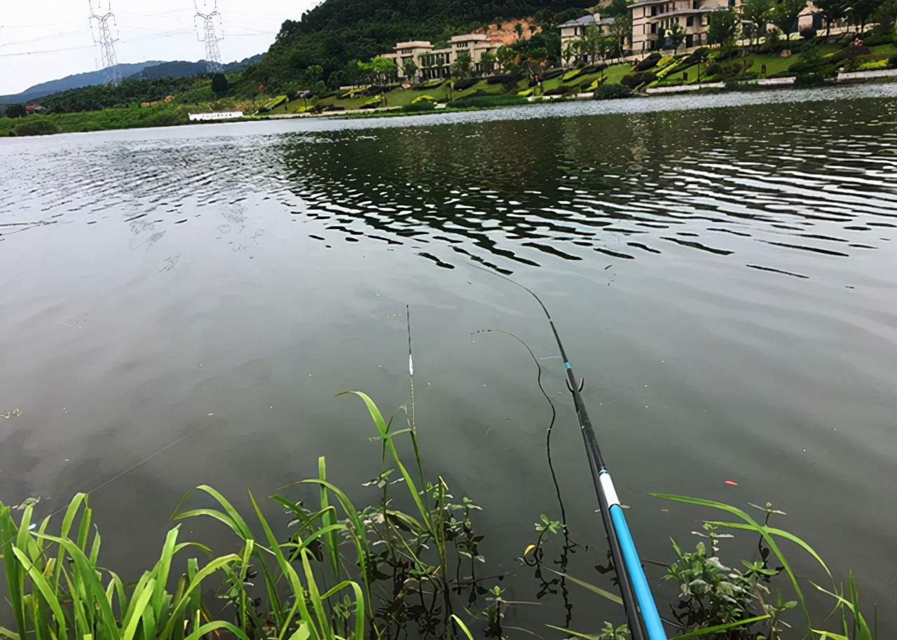 丰硕|钓鱼新手有时比老钓手渔获还丰硕，真正的原因找到，太透彻了