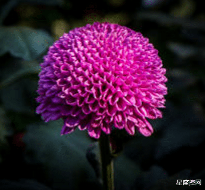 |啥日子出生的人,贫穷生活不磨灭斗志,迟早要长志气变富贵