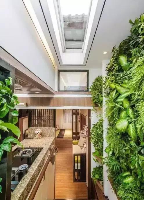 设计师|15米大树穿过20㎡老屋，一家人害怕遭雷劈，出价8万挖走也不敢卖