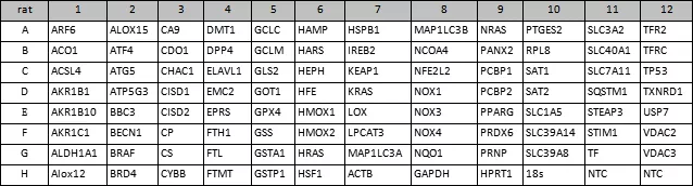 霍金 沃吉百科   什么是铁死亡？铁死亡的发生机制和研究思路是？