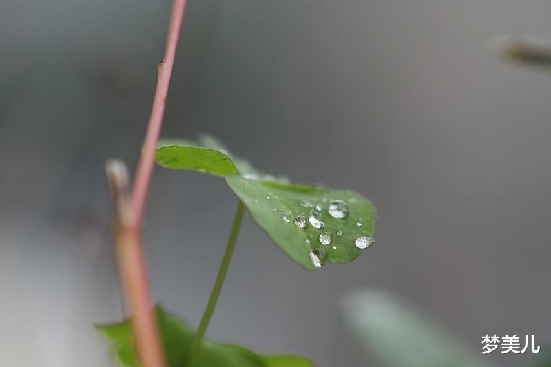 梦美儿 不自重自爱，后患无穷