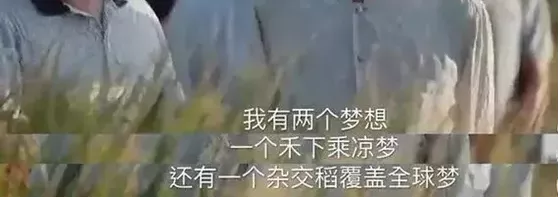 你好吴所畏 袁隆平逝世!“谢谢您,喂养了中国人的灵魂”