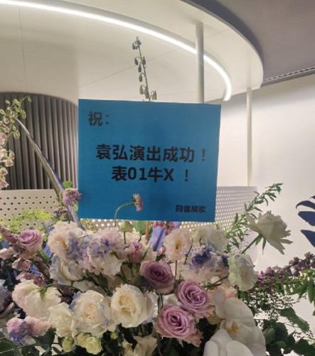 忧郁林黛玉|什么时候开始磕这一对CP了？