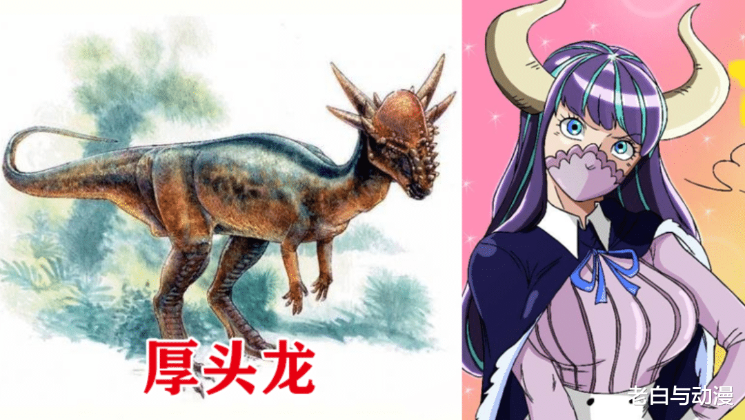 海贼王|海贼王1011话:润媞看到大妈打佩吉万,?怕是会给弟弟报仇!?