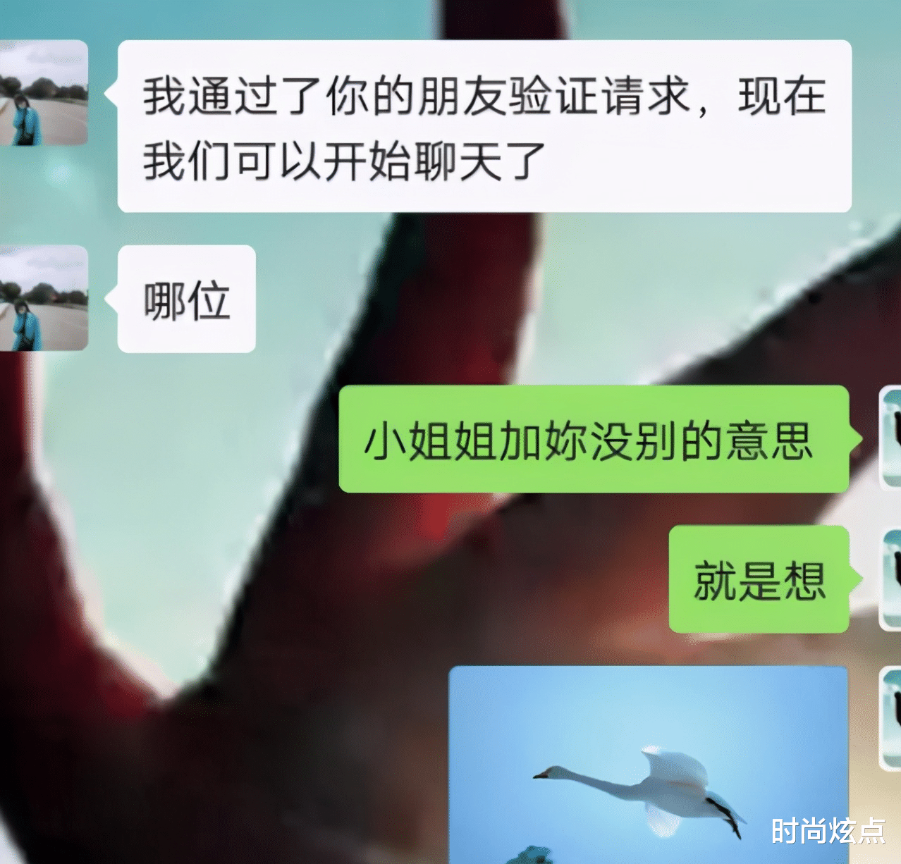 秘书|去老板办公室发现女秘书躺在椅子上睡着了，这是发生什么了
