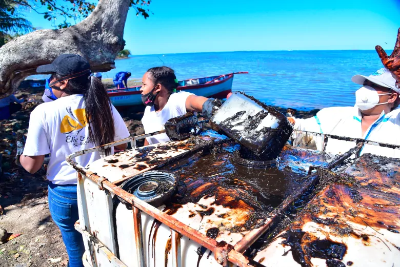 久见菌菌|1000吨石油泄漏，国民纷纷捐发吸油，几百万的项目用头发能搞定？