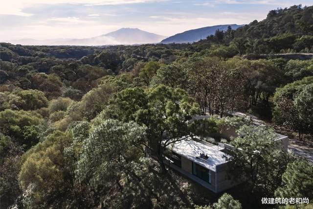 卧室|抽象的几何住宅：顺应场地，隐藏于森林中的乌托邦