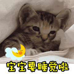 桉月|表情包：心情乱七芭蕉的