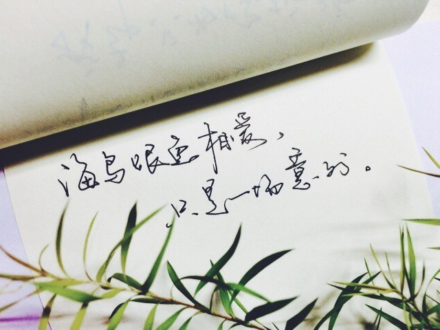 周杰伦|你的青春总有一个周杰伦：YYDS