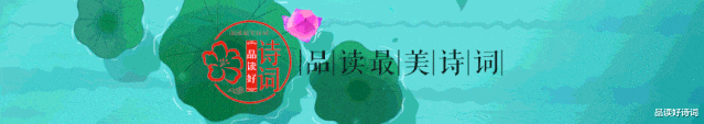|「诗词鉴赏」昙花一现为韦陀，古诗词里的昙花，一现刹那芳华