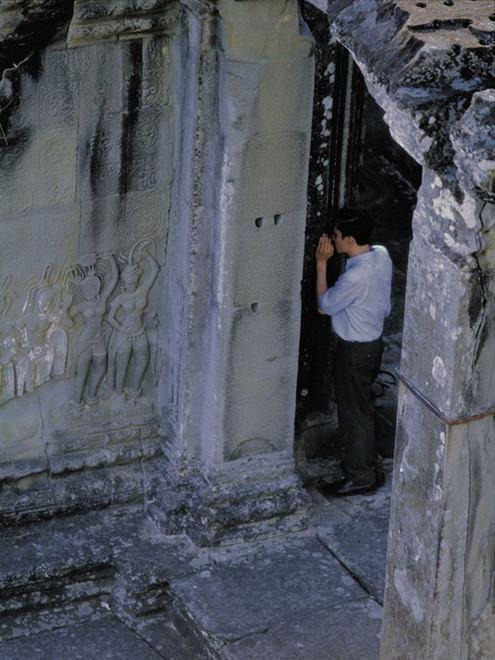 微信|文件传输助手，社畜的秘密树洞