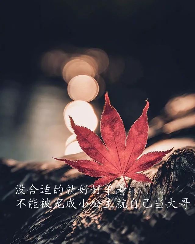 幕池文案馆|写到心窝里的经典情感语录，字字透彻，句句触动心灵！