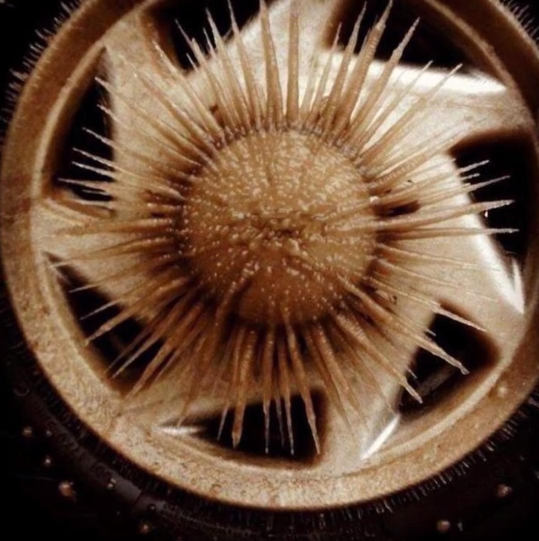 海之归墟|27张罕见的照片，展现了常见事物“不常见”的一面