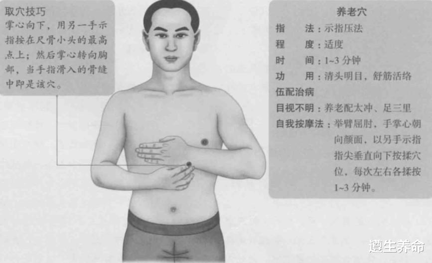 遵生养命|养老穴的准确位置图, 养老穴的功效与作用