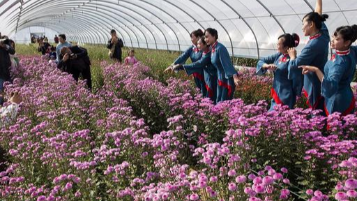 一优优音乐 济南又增一市花,让我们走进平阴