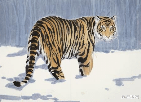  12生肖中，谁的好命指数高，受苦少，享福多，今年赚钱有增无减