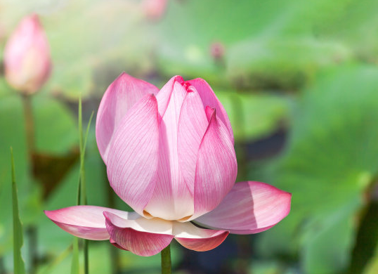 处女座|7月上旬开始,4属相运势上涨,横财连发,钞票多多,吃香喝辣