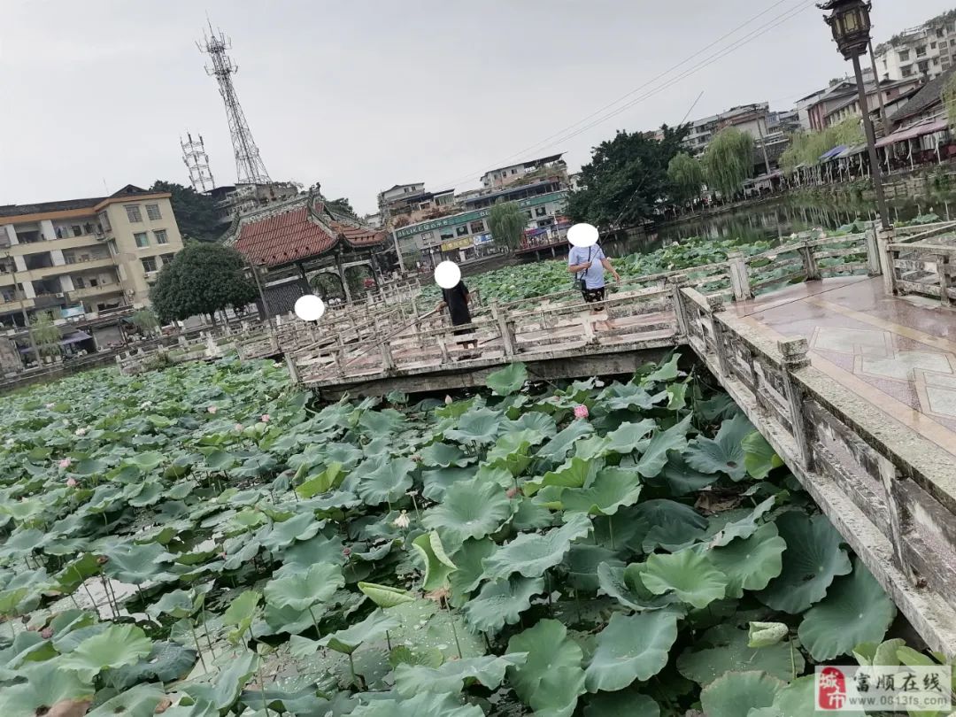 孟浩然|简直不落觉！富顺西湖有人又在钓鱼了？被网友拍下......