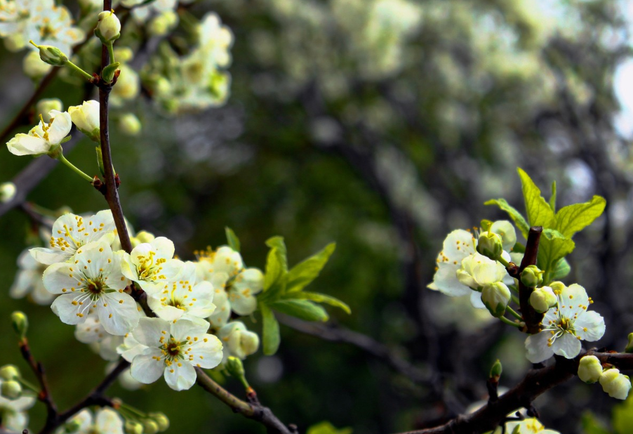 生肖夜读|7月中旬,一见倾心,再见难忘,3生肖信念感十足,忠于爱情,忠于初心