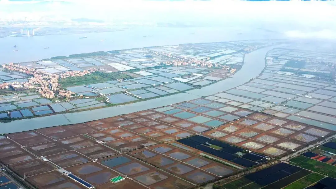 番禺新出彩 番禺将在这里，打造湾区休闲渔业新标杆！