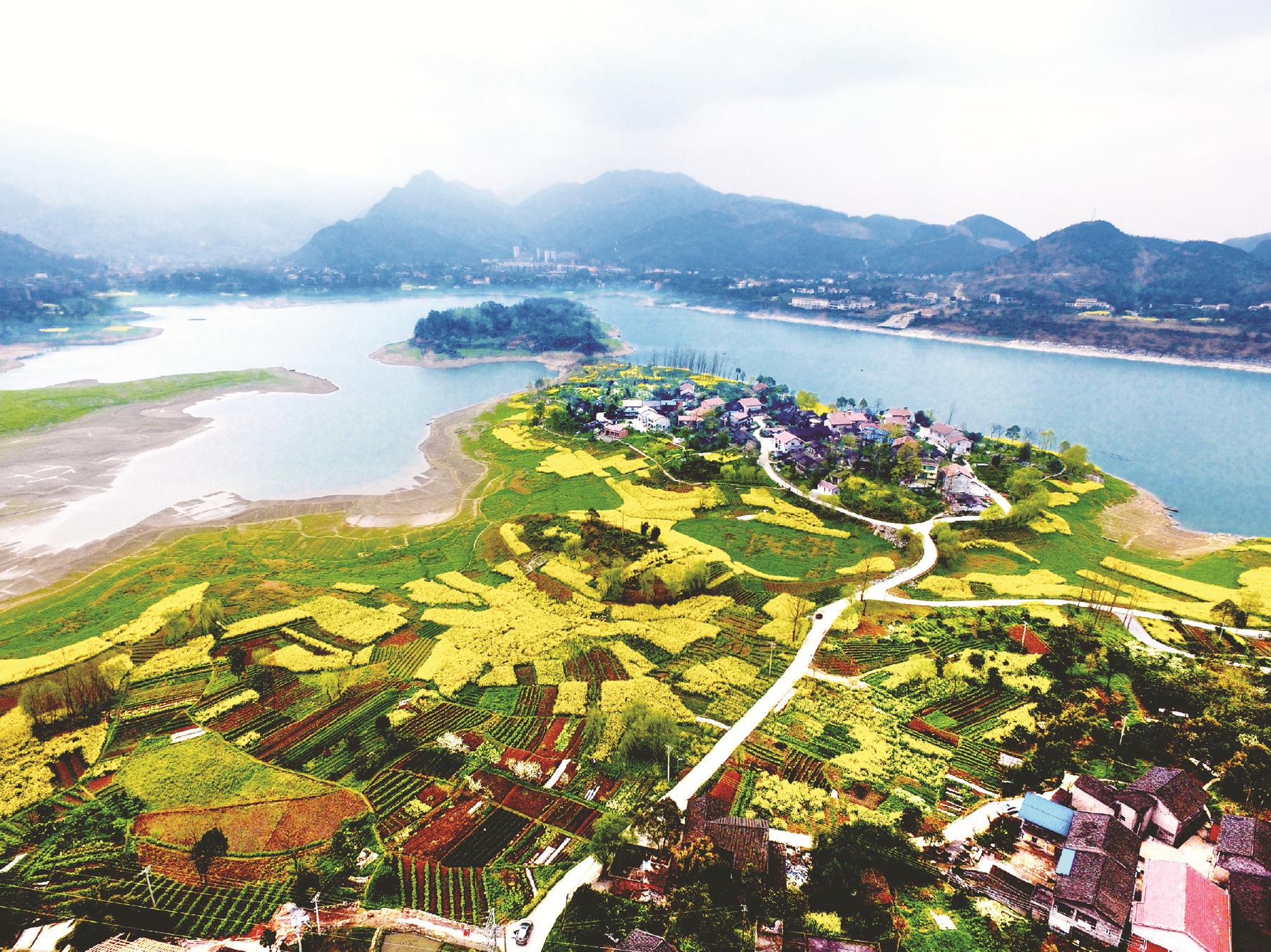 川东周末 广安区:大力发展主导产业 夯实乡村振兴基础