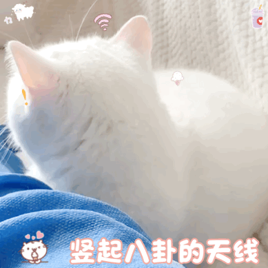 电视剧|“震碎你三观的八卦” 现实中的八卦 真是比电视剧还魔幻