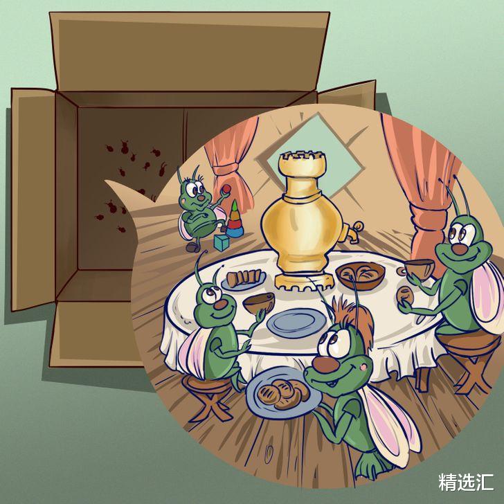 精选汇 你的家中可能成为虫子温床的8个地方