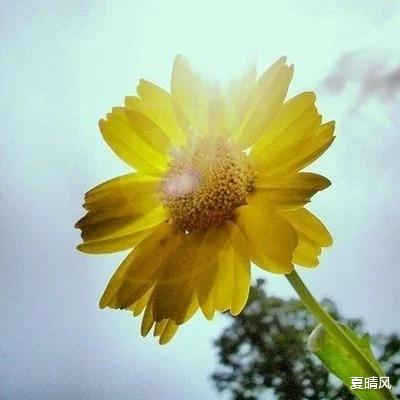 夏晴风 人到中年，要学会收起自己的“热心肠”